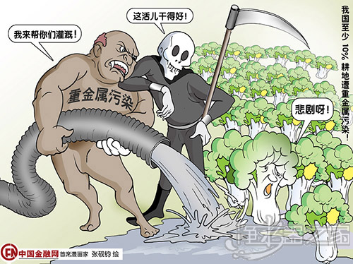 重金属污染